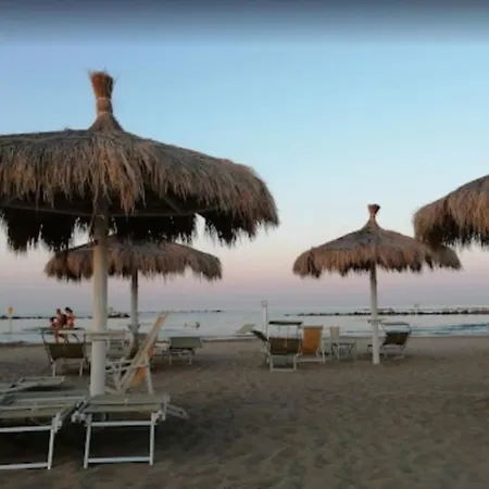 Apartment Apartment Beach Front With Pool Montesilvano